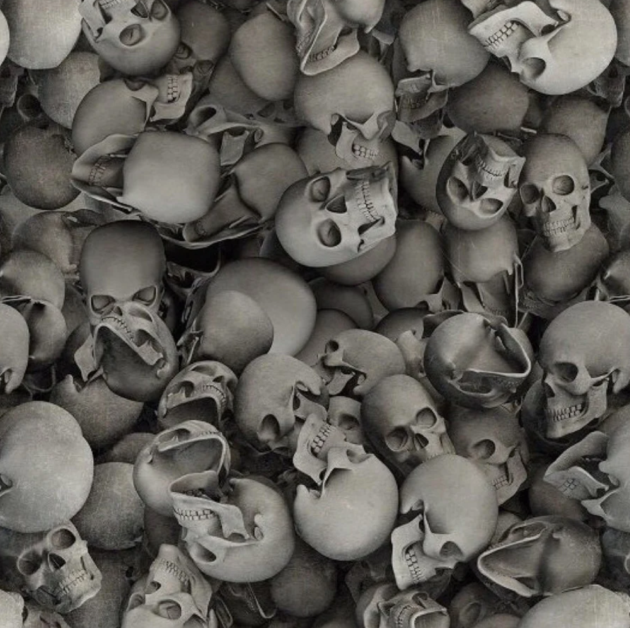 3D SKULLS