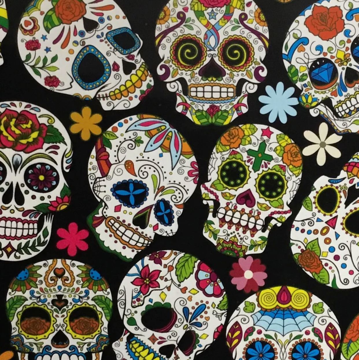 JUMBO SUGAR SKULLS