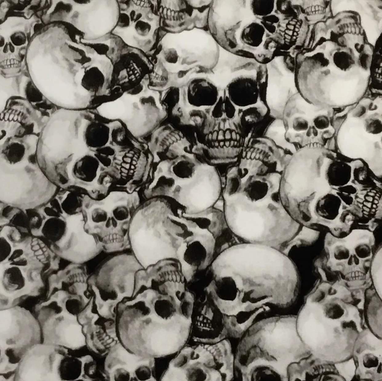 LARGE TRUE SKULLS