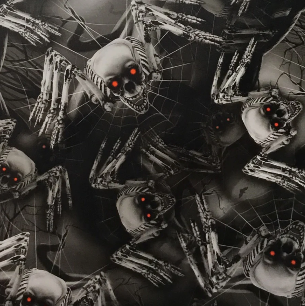 SPIDER SKULLS