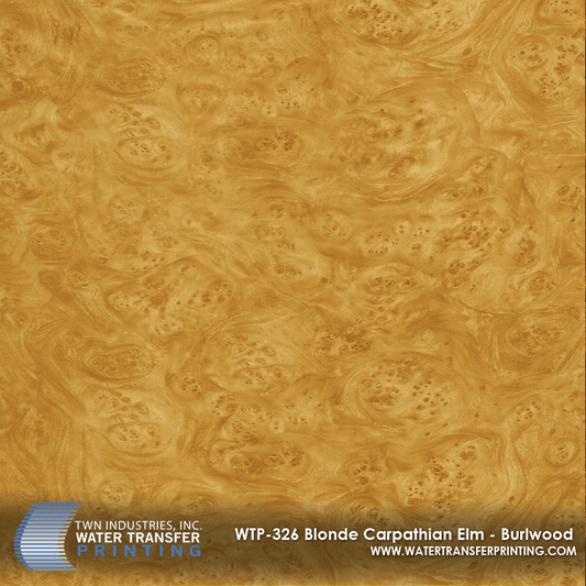 WTP-326 BLONDE CARPATHIAN ELM BURLWOOD